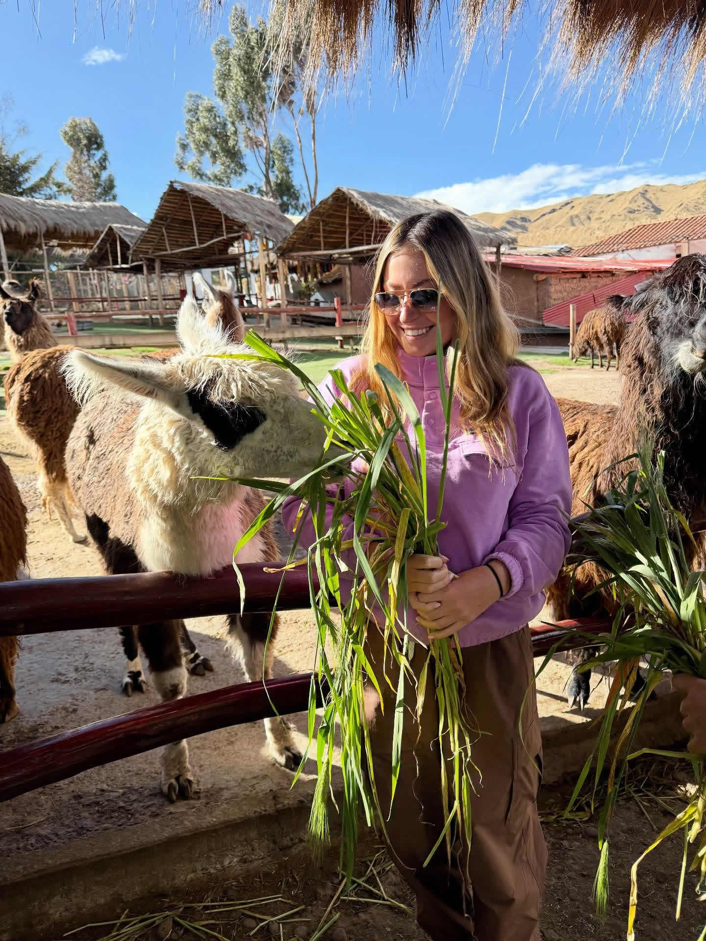 transport cusco to belmond rio sagrado