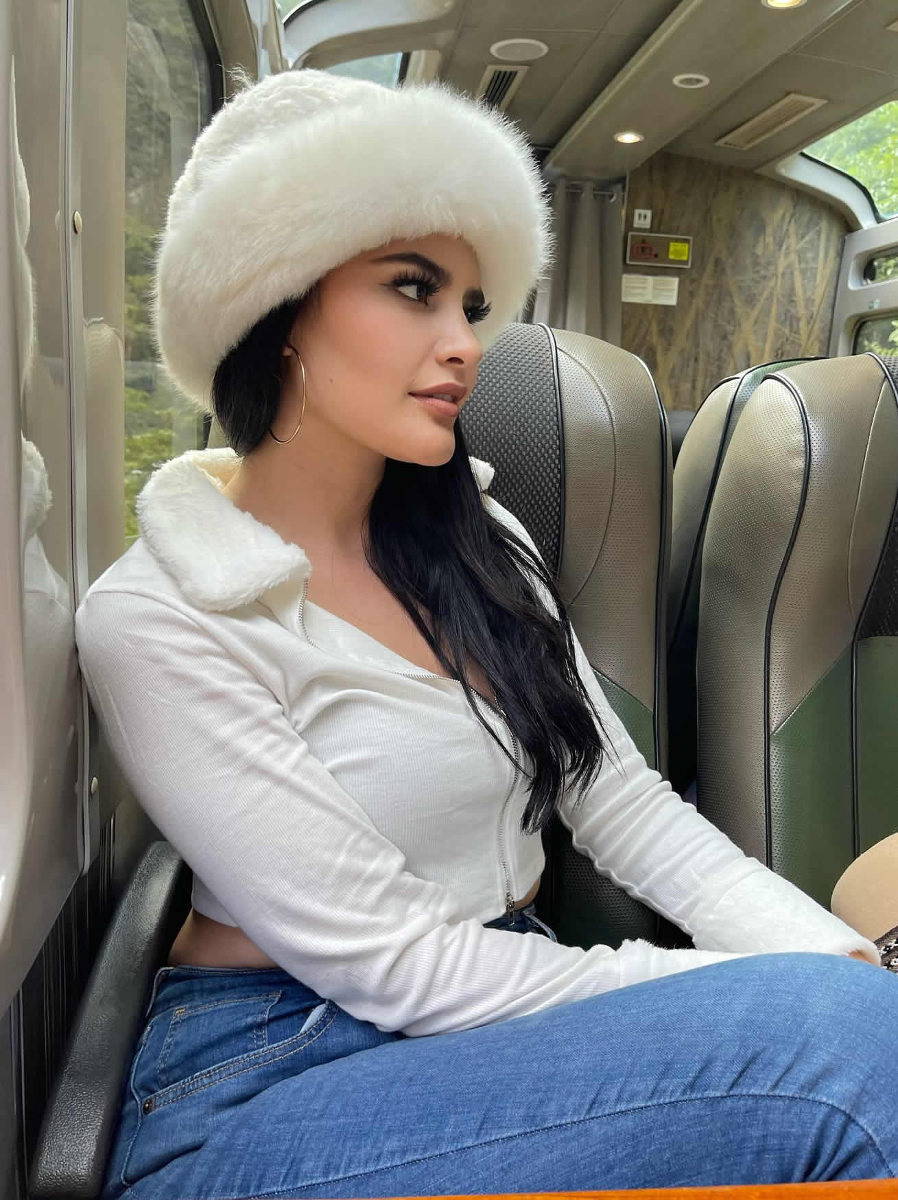 train vistadome