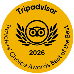 tripadvisor winner