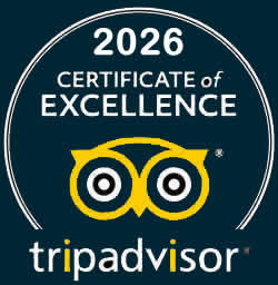tripadvisor
