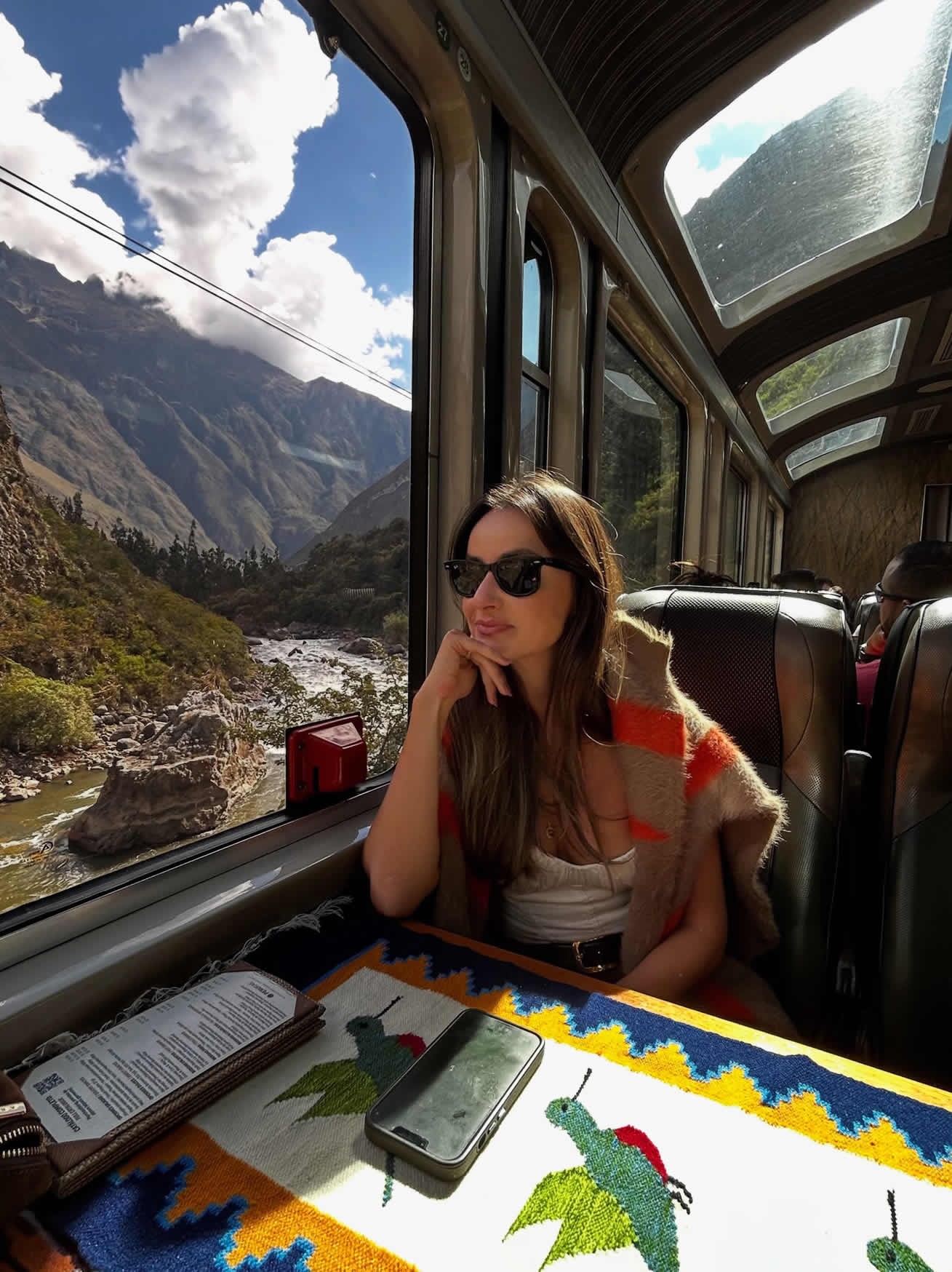 vistadome train